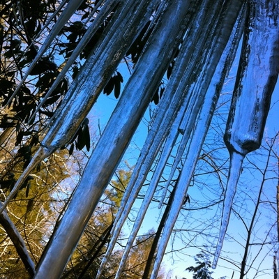 January on the Sheltowee Trace, Red River Gorge